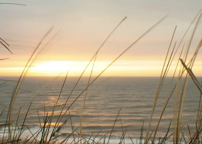 Abaluga 5a Lejlighed Wenningstedt-Braderup